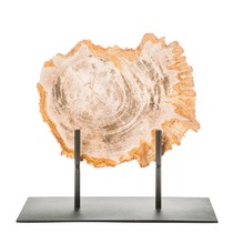 Декоративная тарелка из окаменелого дерева KELUD арт. 382347