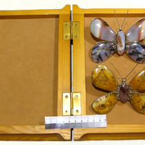№887 Бабочки, подарочный комплект, моховый агат, м-е Шибынды.
