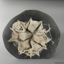 Щетки кальцита на мергелистых глинах с плоскими кристаллами барита.